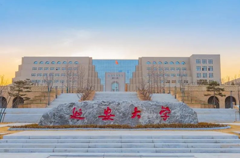 延安大学订购硅碳棒管式炉